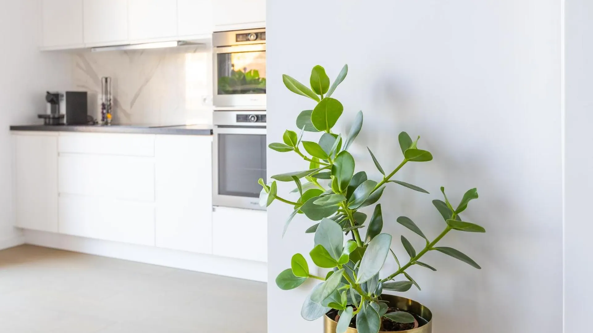 Prachtig Appartement Aan Zee Met 2 Terrassen - 4P Ostend Belgium